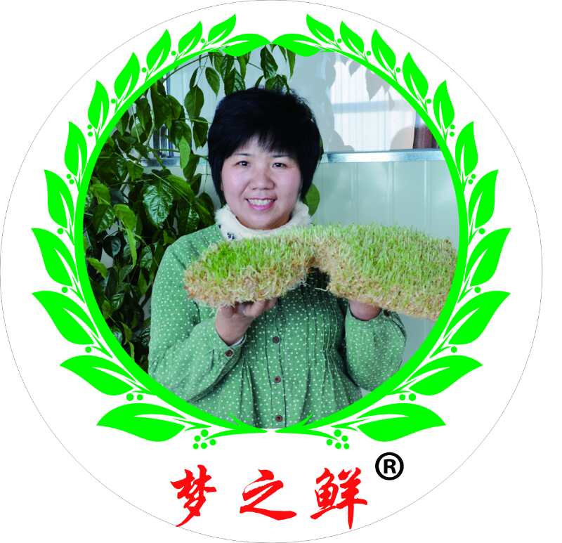 福建梦之鲜食品责任有限公司
